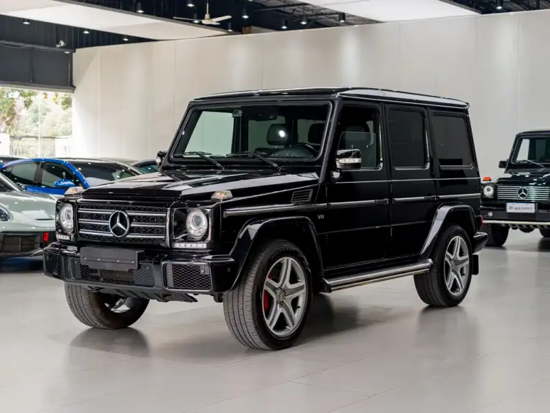 Mercedes-Benz G-Class, 2010 — фото 1