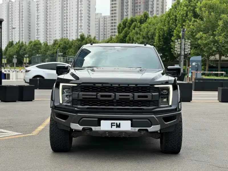 Ford F-150 Raptor, 2023 — фото 1