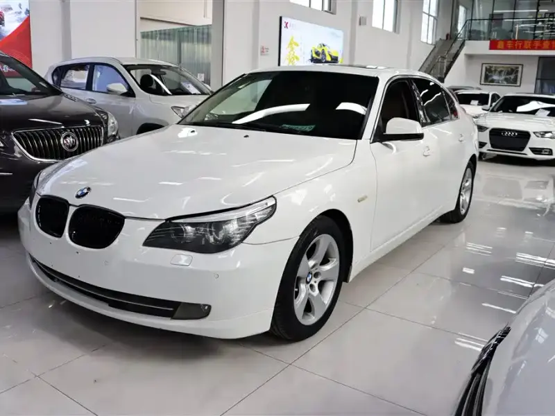 BMW 5 Series, 2010
