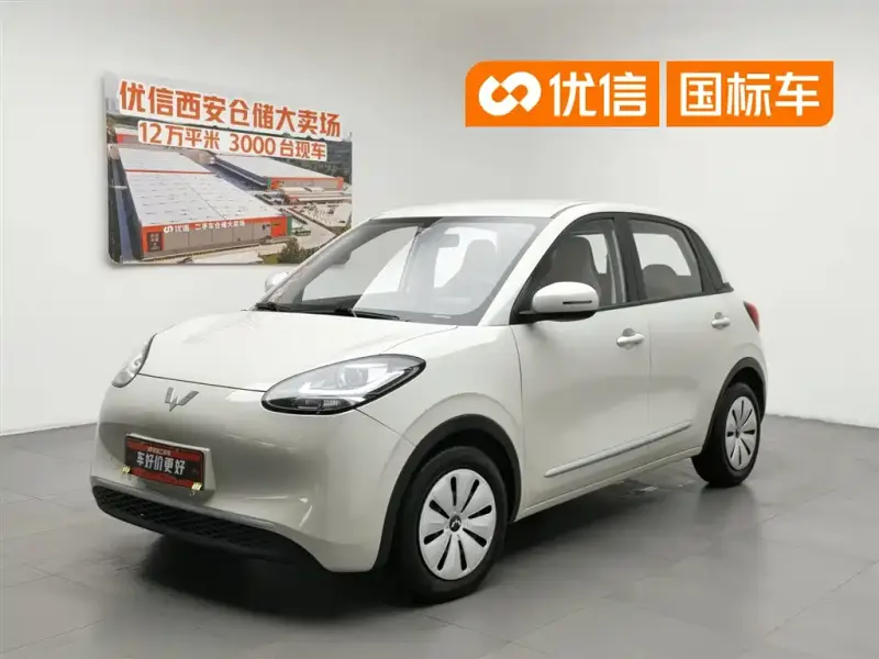 Wuling Bingo, 2023