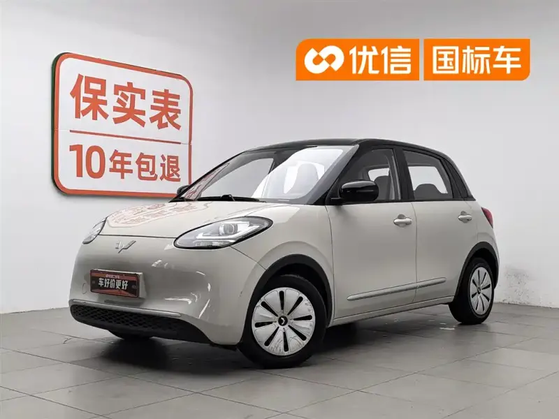 Wuling Bingo, 2024