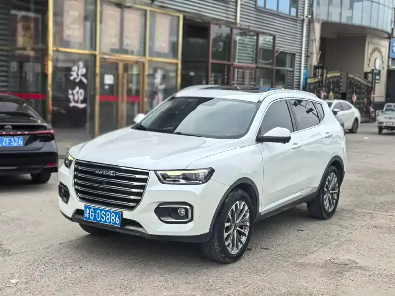 Haval H6, 2020 — фото 1