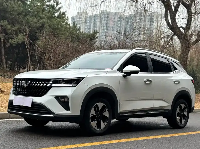 Wuling Xingchi, 2023
