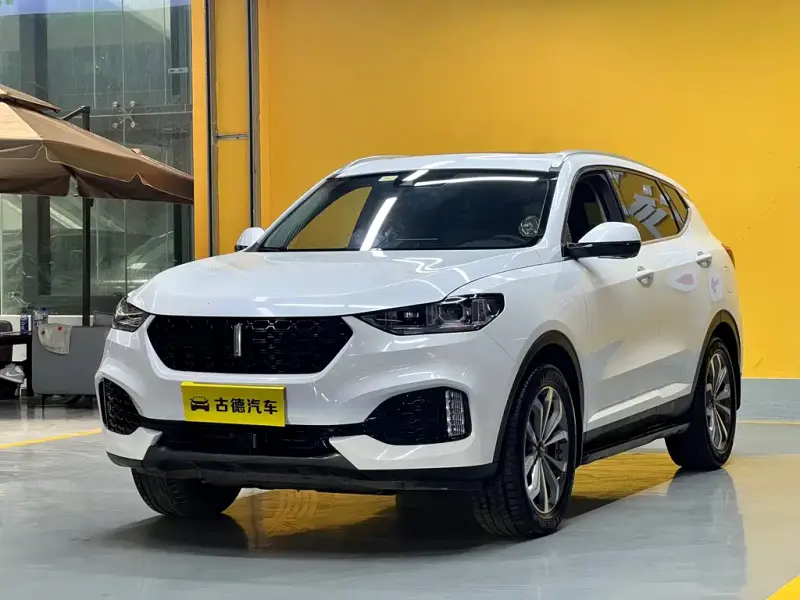 Wey VV6, 2019