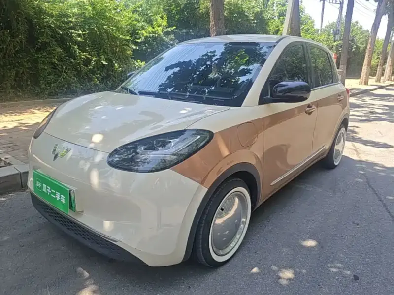 Wuling Bingo, 2024