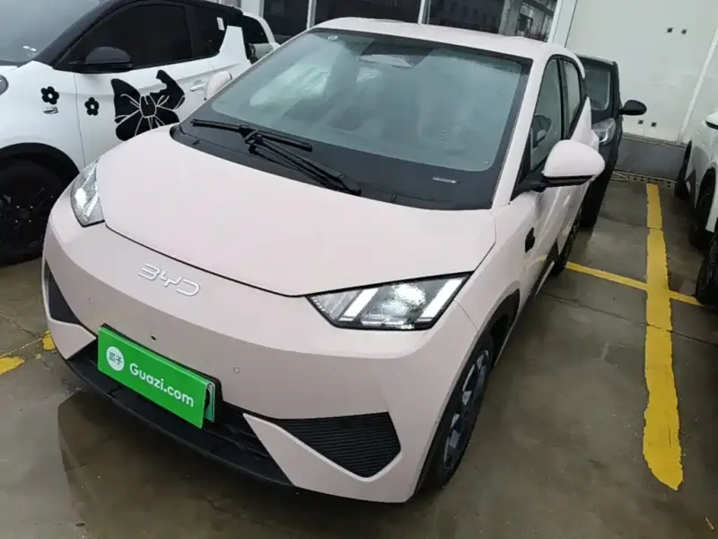 BYD Seagull, 2026