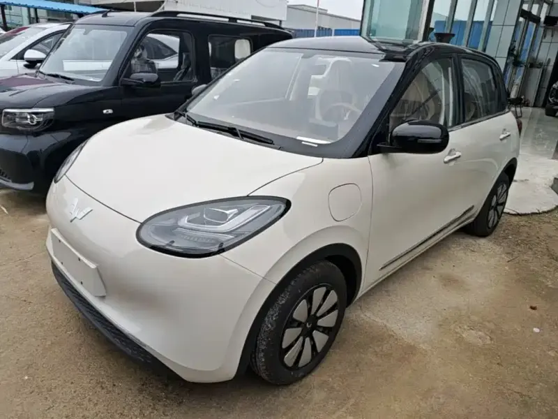 Wuling Bingo, 2026