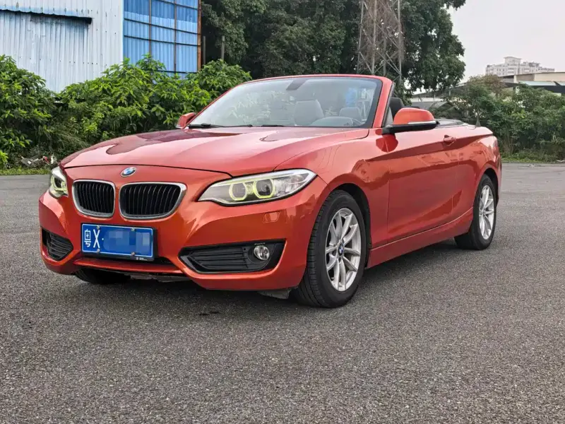 BMW 2 Series (Import), 2016