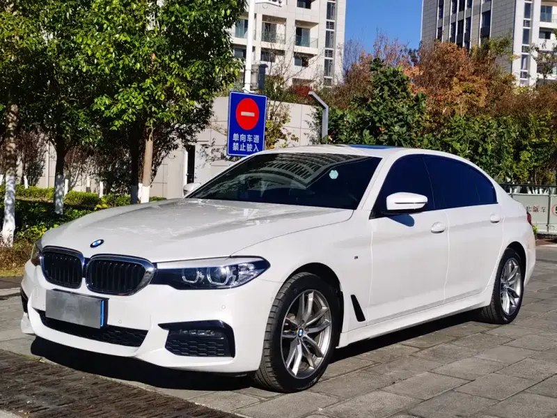 BMW 5 Series, 2019 — фото 1