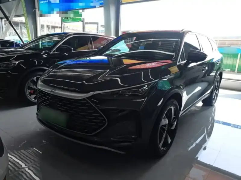 BYD Tang New Energy, 2024
