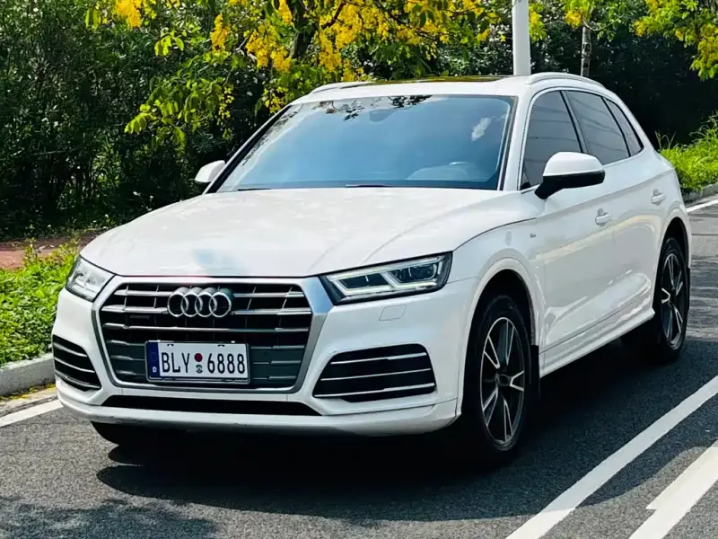 Audi Q5L, 2019 — фото 1