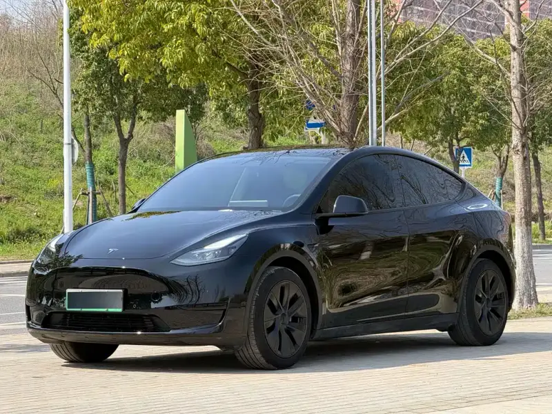 Tesla Model Y, 2024