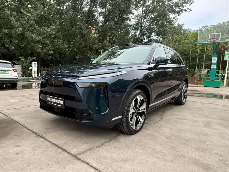 Wey Lanshan, 2024