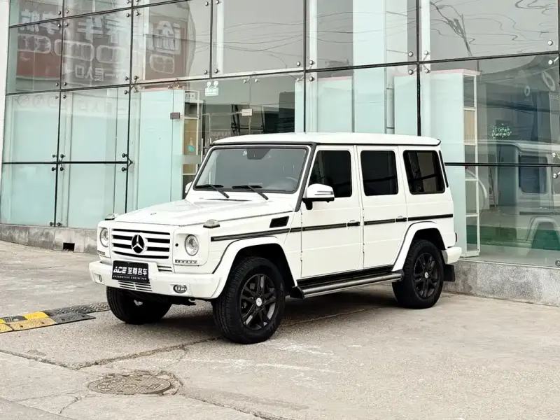 Mercedes-Benz G-Class, 2013 — фото 1