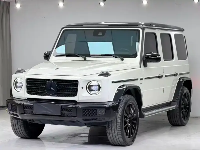 Mercedes-Benz G-Class, 2020 — фото 1