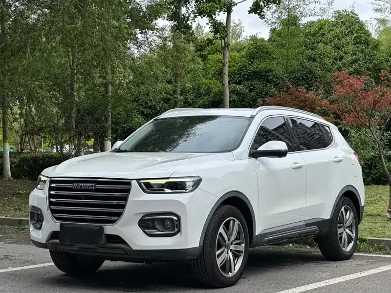 Haval H6, 2019 — фото 1
