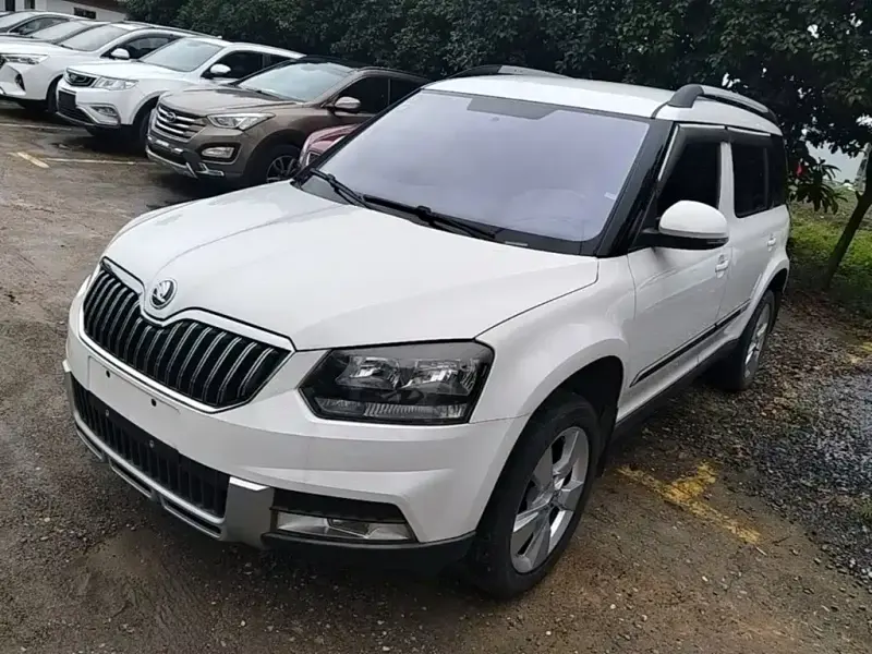 Skoda Yeti, 2015 — фото 1
