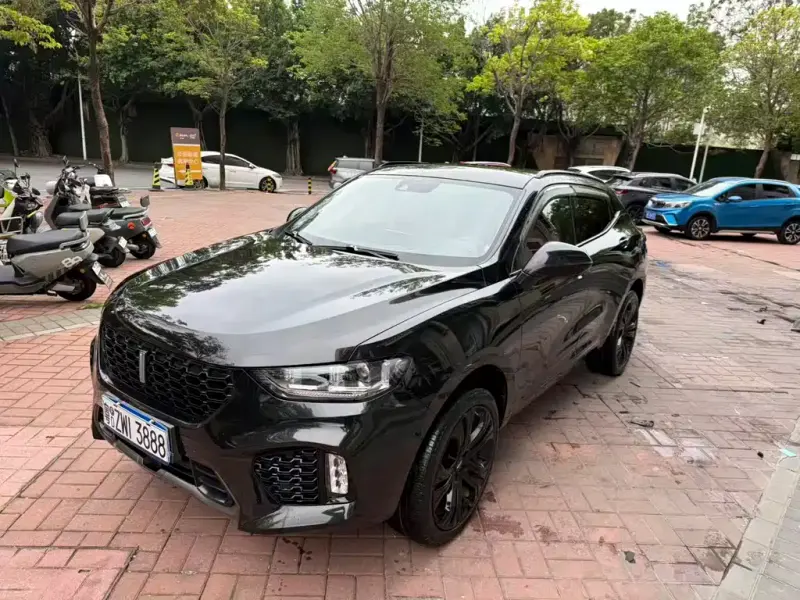 Wey VV5, 2018