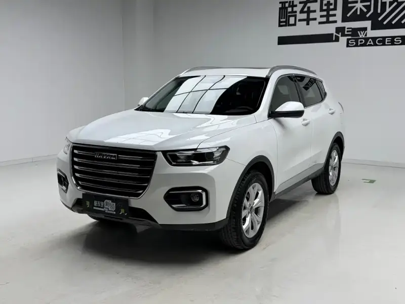 Haval H6, 2020 — фото 1
