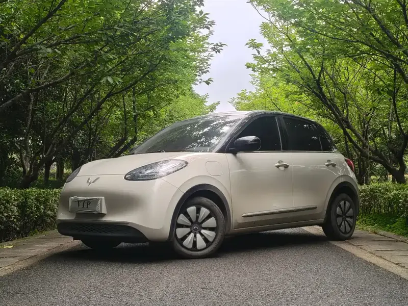 Wuling Bingo, 2024