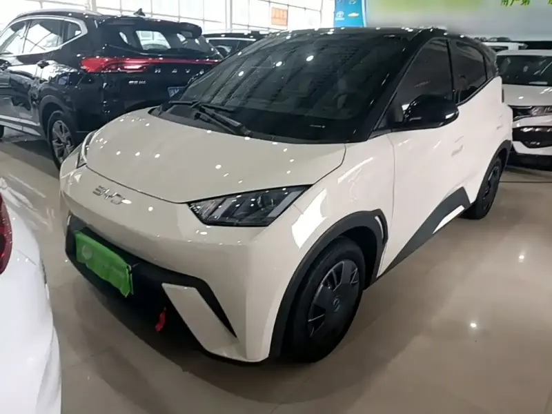 BYD Seagull, 2024