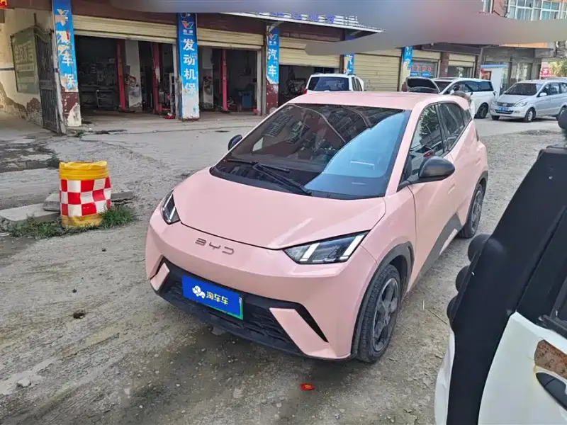 BYD Seagull, 2023