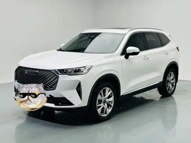 Haval H6, 2021 — фото 1