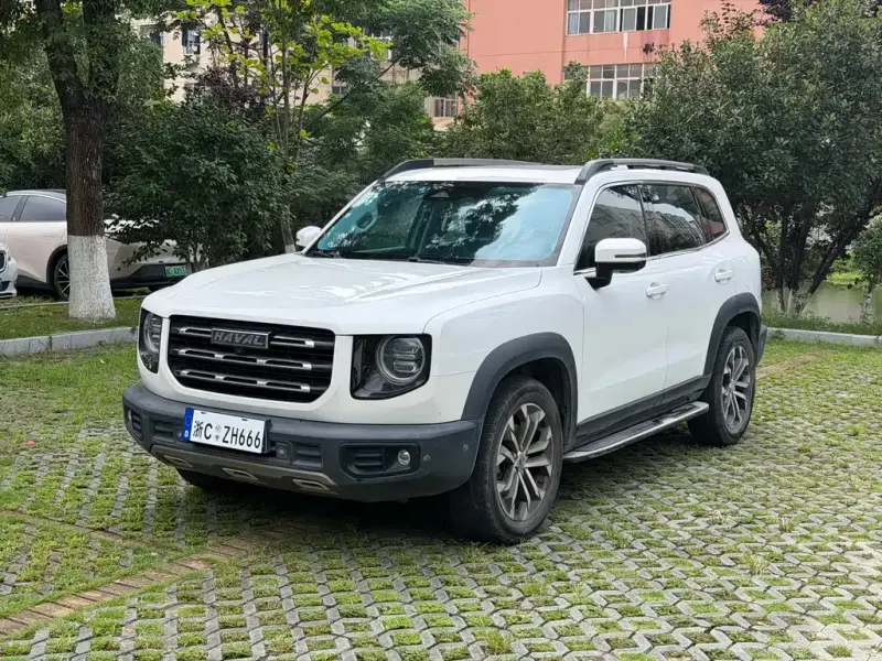 Haval Big Dog, 2020 — фото 1