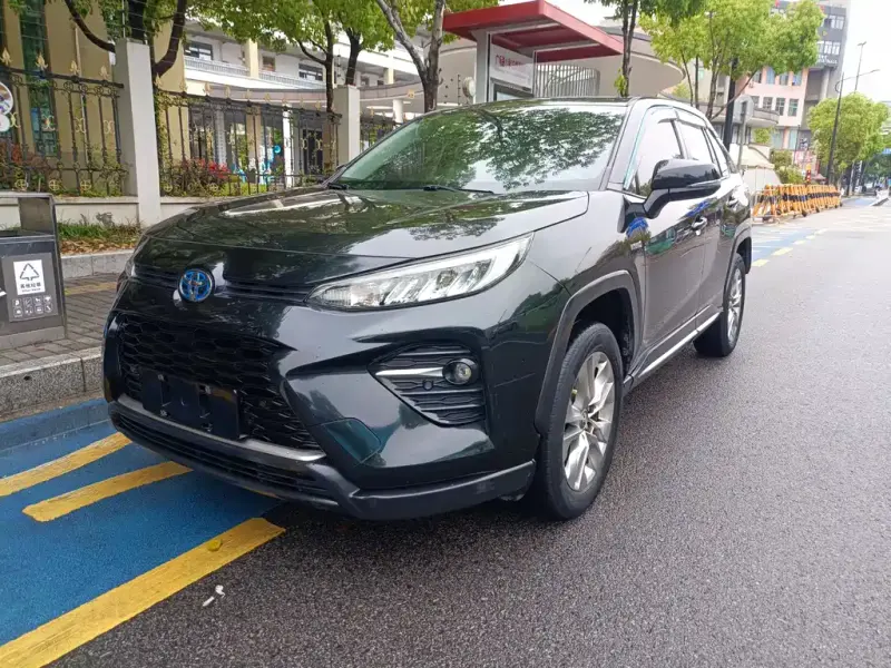 Toyota Wildlander, 2020