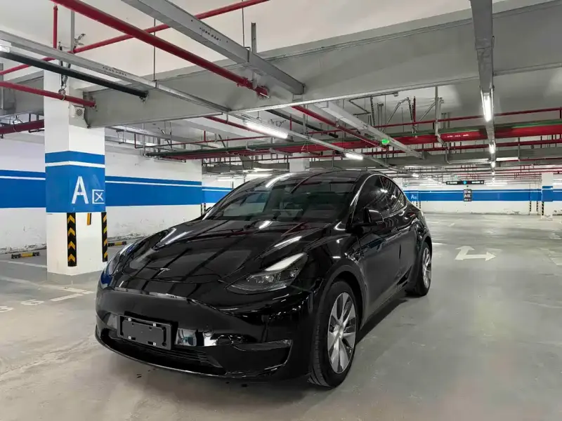 Tesla Model Y, 2021