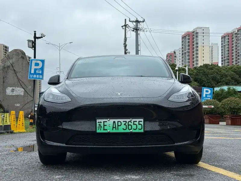 Tesla Model Y, 2024