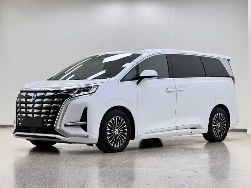 Denza D9, 2023