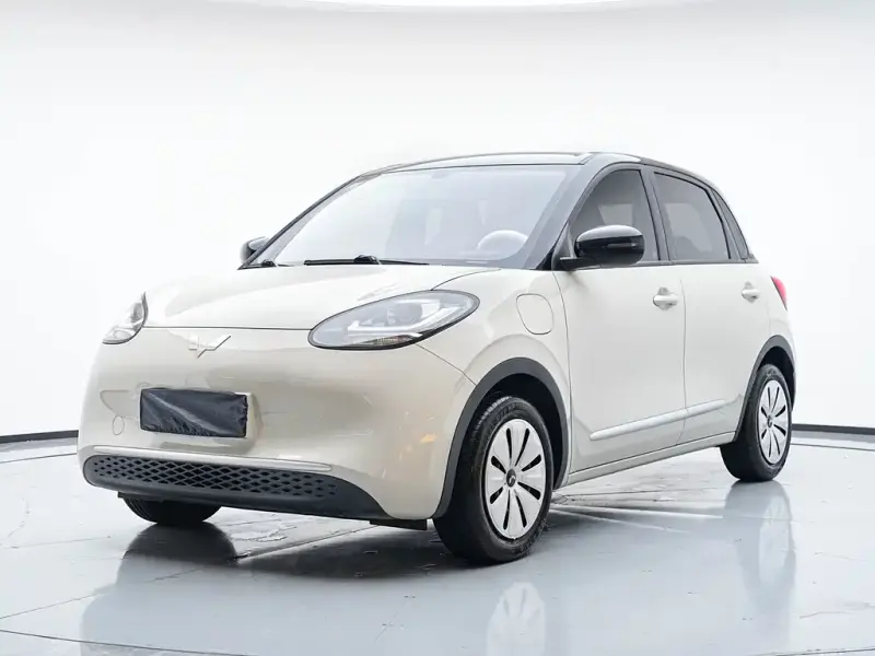 Wuling Bingo, 2025