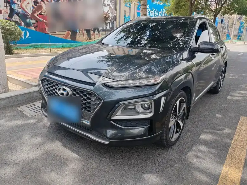 Hyundai Encino, 2019