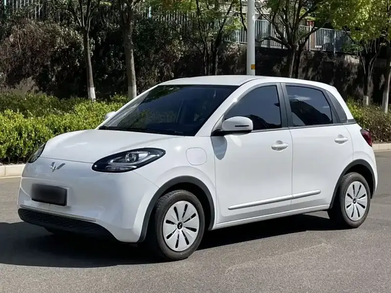 Wuling Bingo, 2024