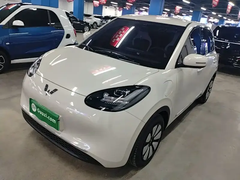 Wuling Bingo, 2024