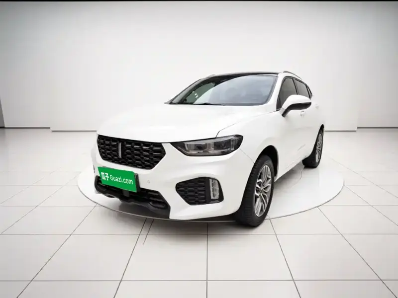Wey VV5, 2018