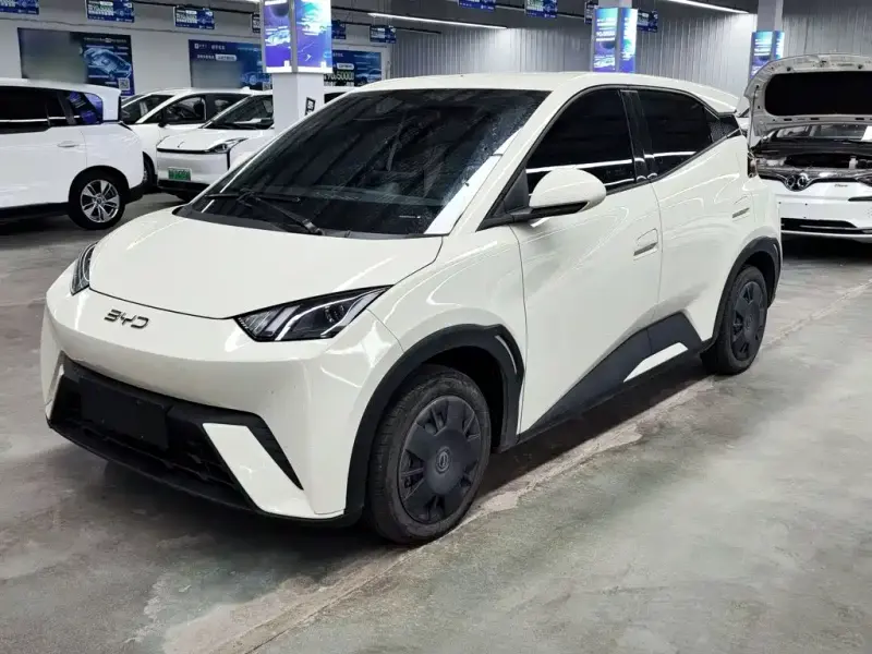 BYD Seagull, 2024