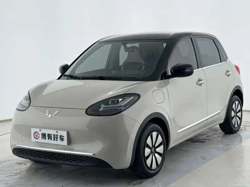 Wuling Bingo, 2024