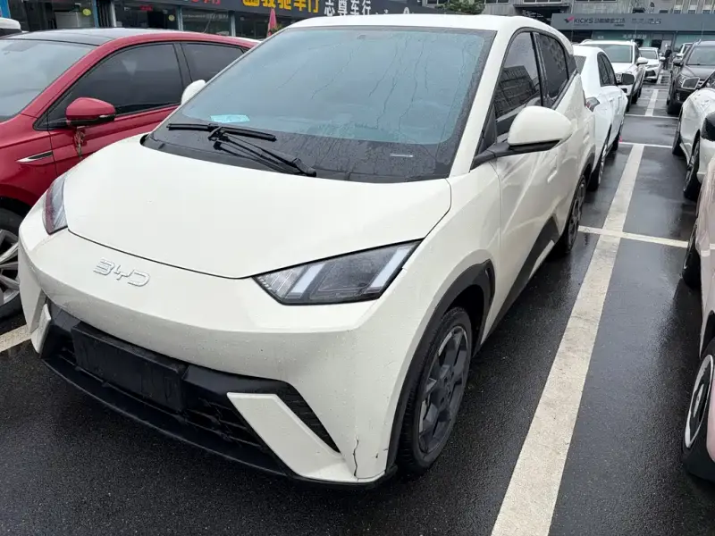 BYD Seagull, 2024