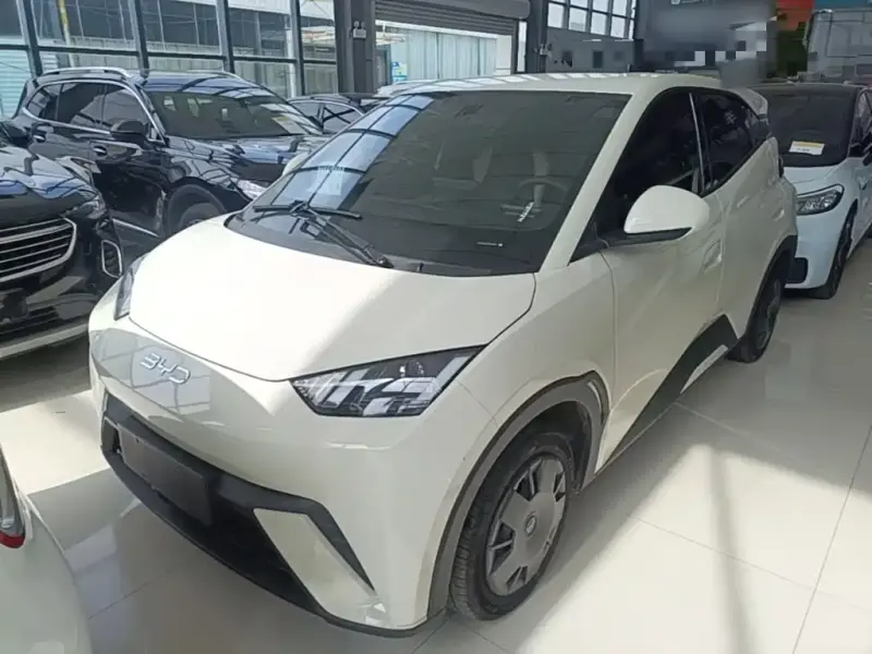 BYD Seagull, 2024