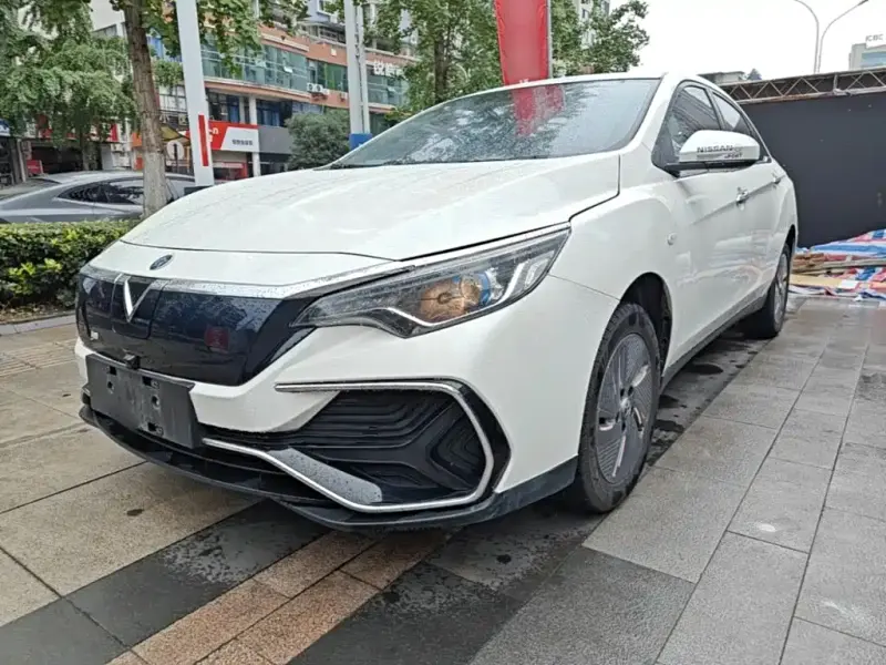 Venucia D60 EV, 2024