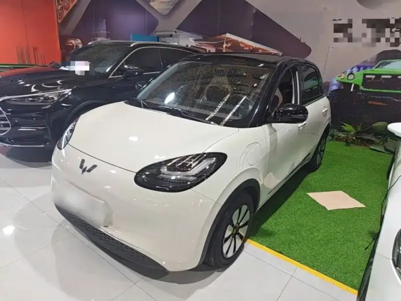 Wuling Bingo, 2025