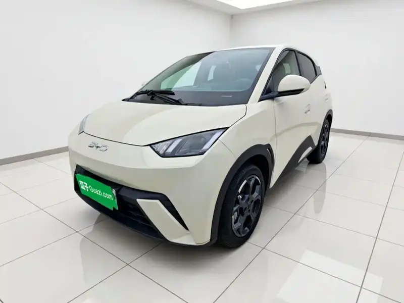 BYD Seagull, 2025
