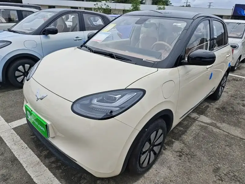 Wuling Bingo, 2026