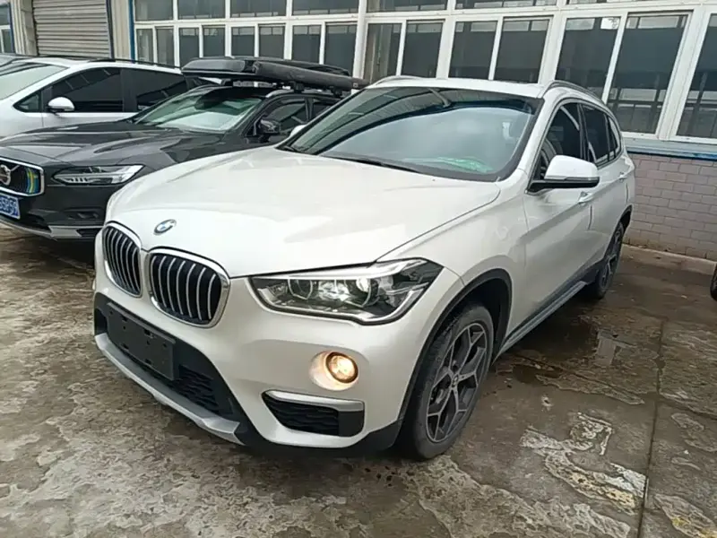 BMW X1, 2019 — фото 1
