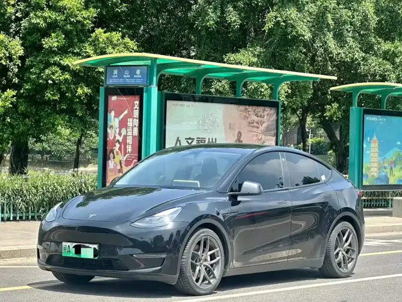 Tesla Model Y, 2021