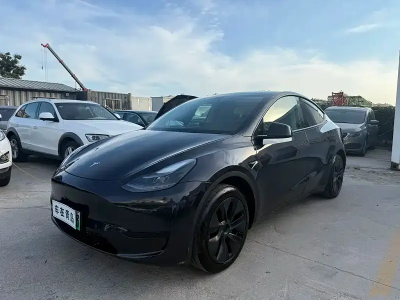 Tesla Model Y, 2024