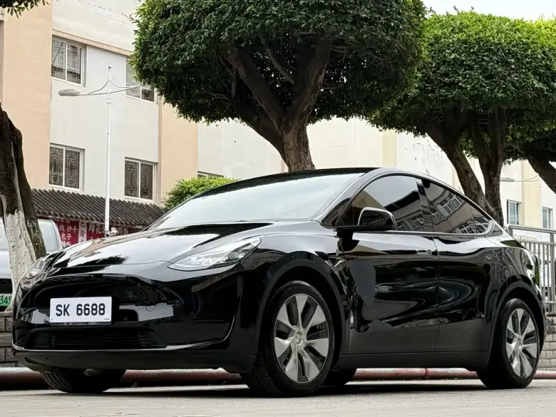 Tesla Model Y, 2022