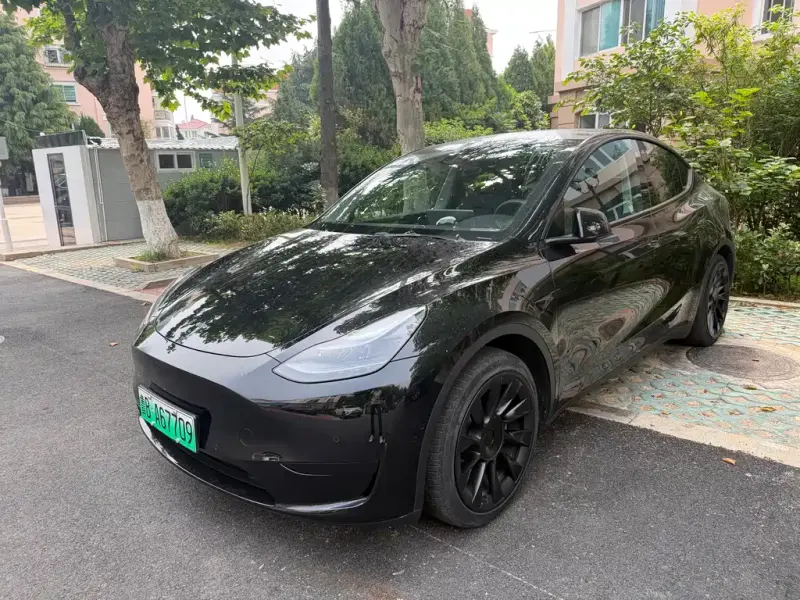 Tesla Model Y, 2022